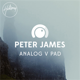 Analog V Pad Peter James
