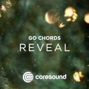 Reveal - GoChords